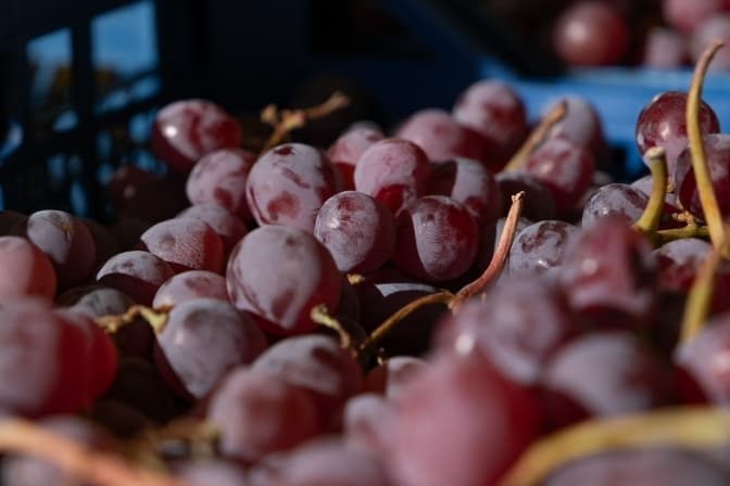 У Києві цього тижня відбудуться продуктові сільськогосподарські ярмарки