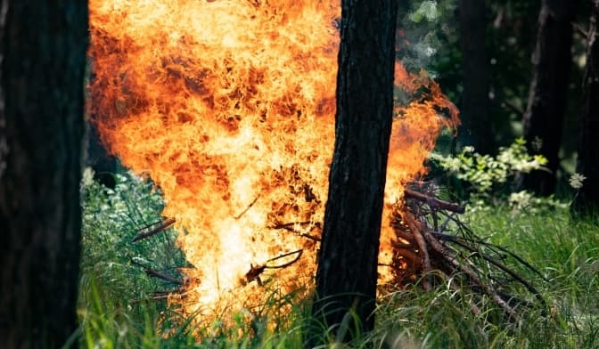 23-25 травня у Києві та області очікується надзвичайний рівень пожежної небезпеки – Укргідрометцентр