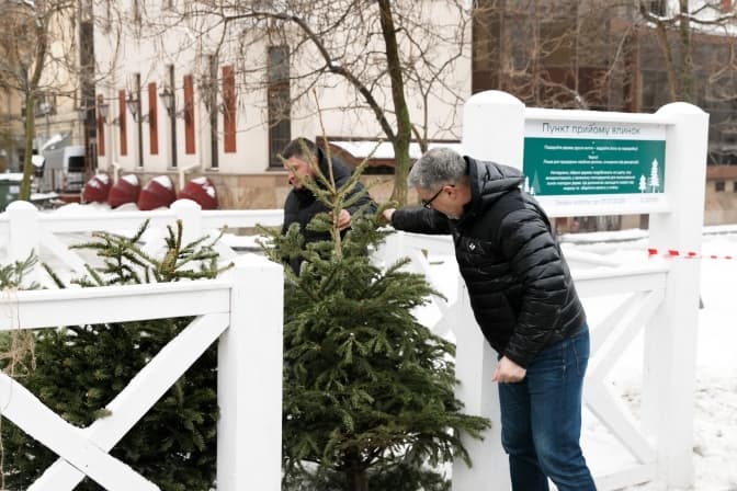 У Києві показали, як новорічні ялинки проходять екологічну переробку