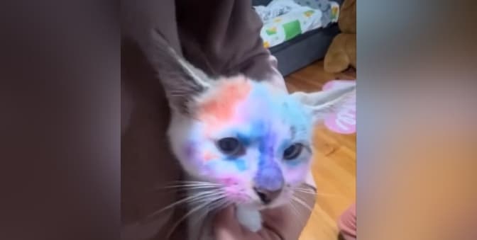 скриншот з відео