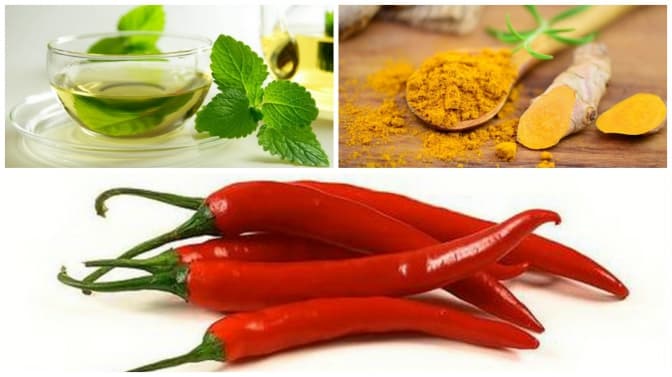 Топ-10 продуктів, які підвищують імунітет