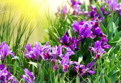 Фото: yak-prosto.com