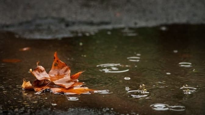 фото умовне