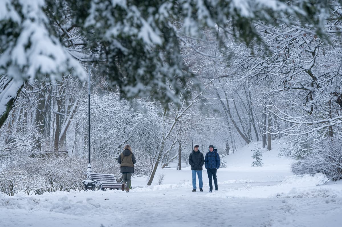 Прогноз погоди у Львові на 30 грудня