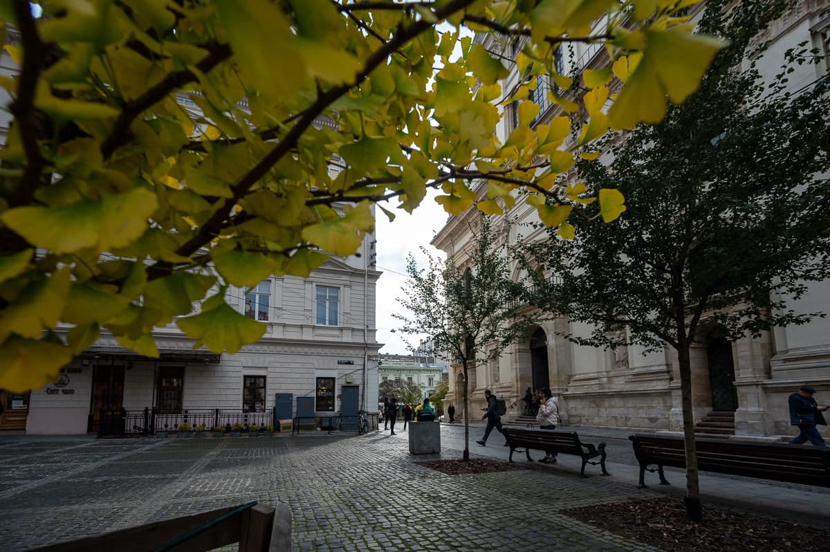 Львів'яни скоро можуть побачити перший сніг