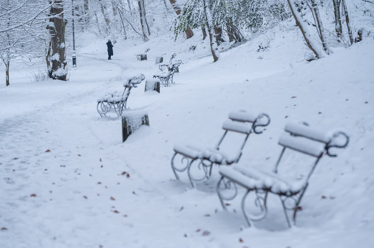 Снігопади та ожеледиця у Львові. Як уникнути травм та де є травмпункти