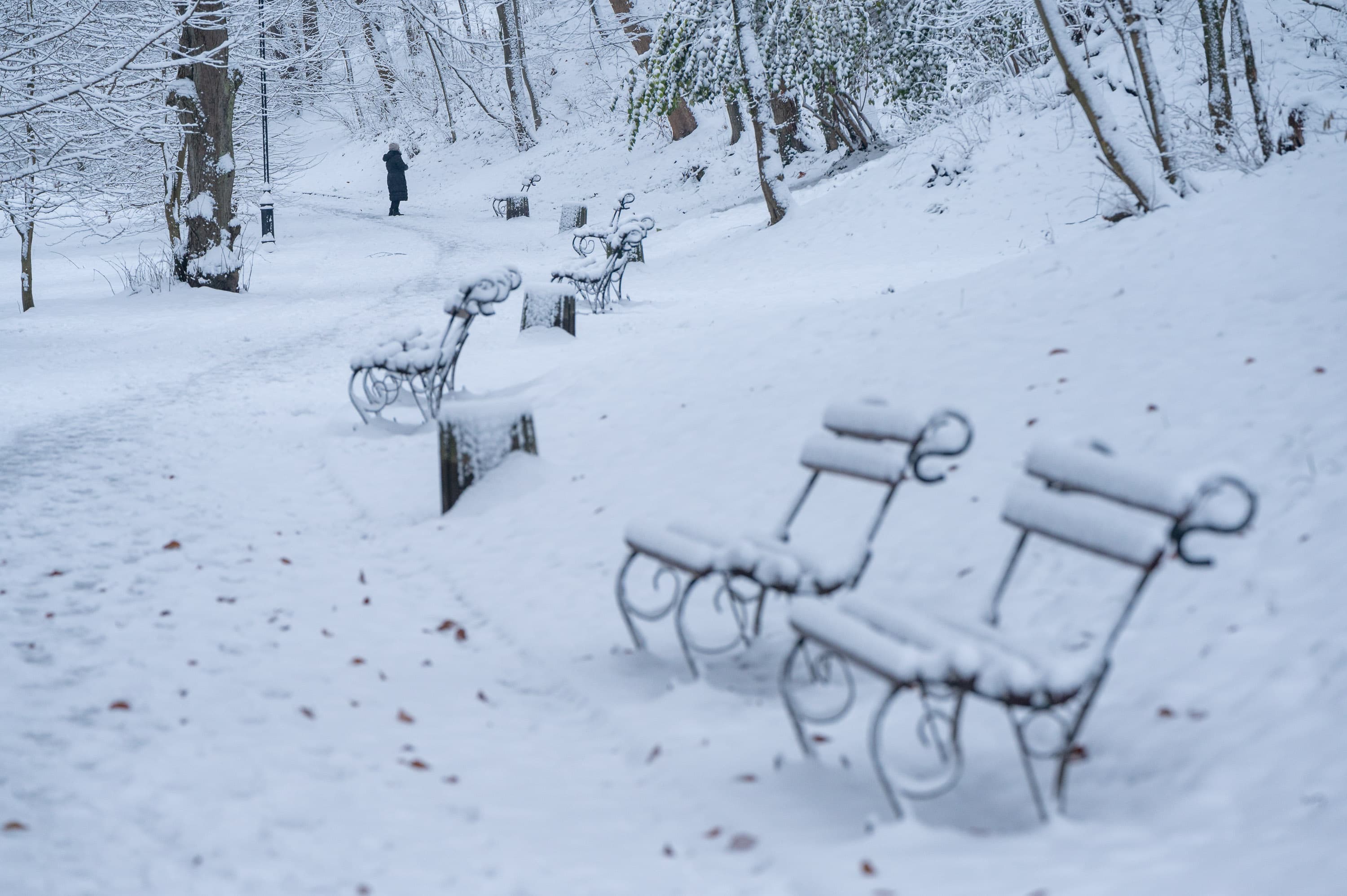 Фото: Твоє місто