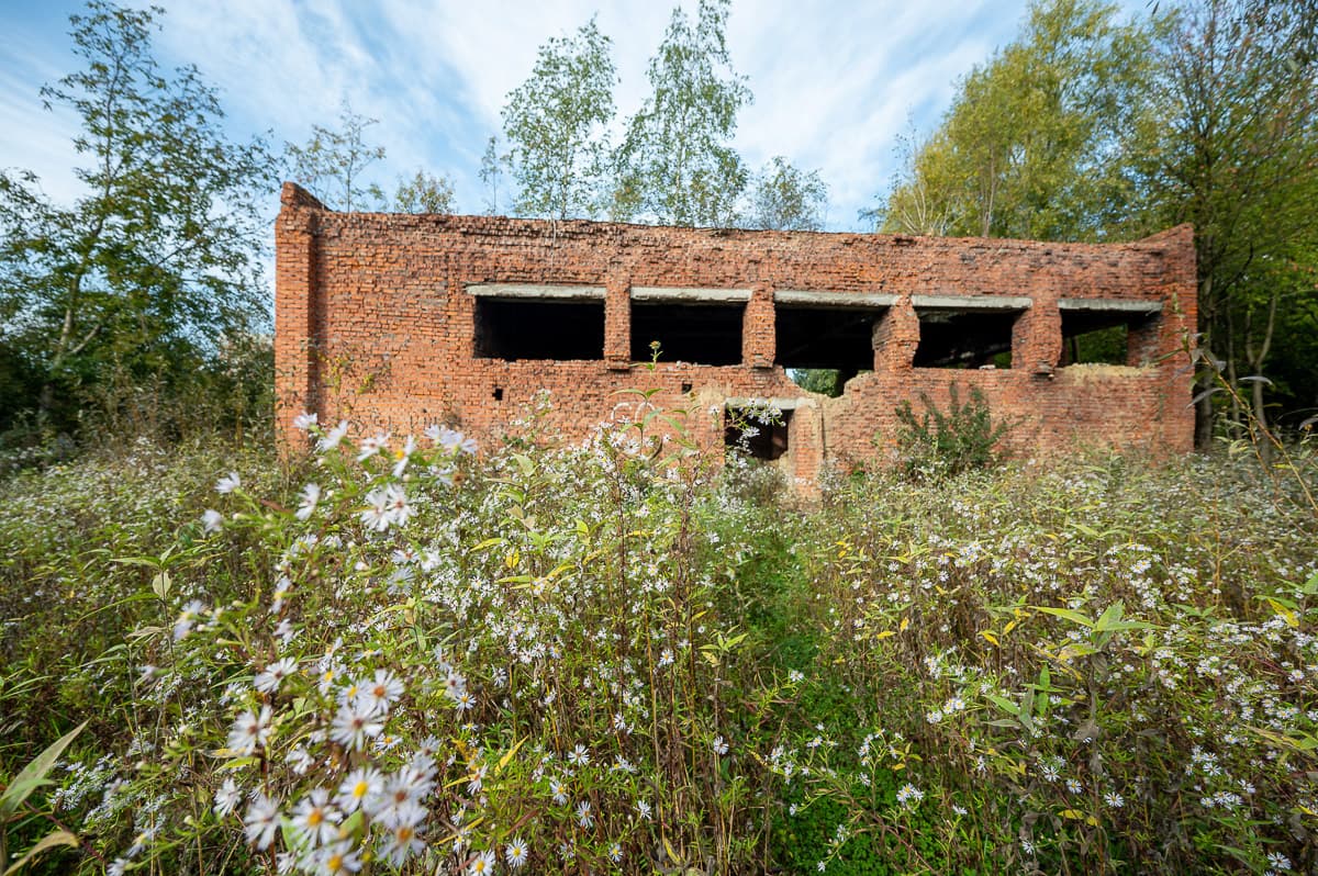Де у Львові буде новий мікрорайон та у Києві розпочинається опалювальний сезон. Підсумки доби