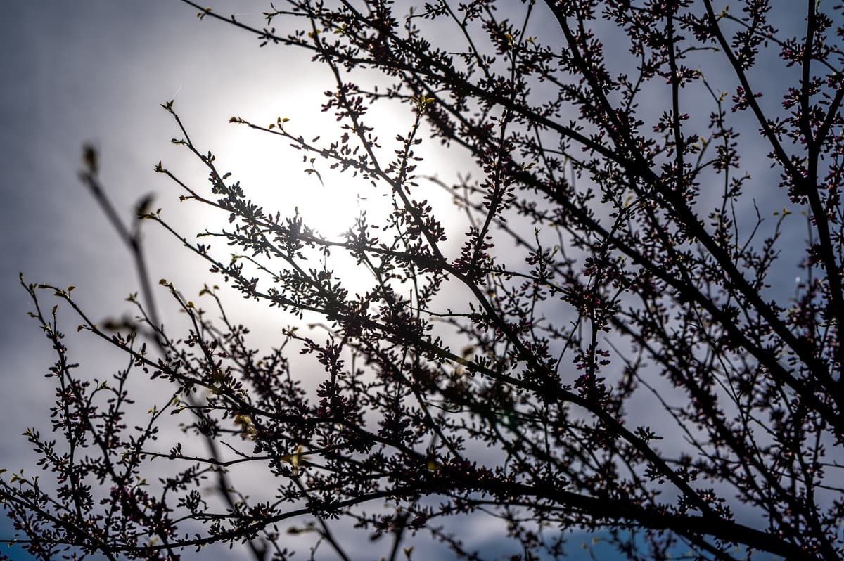 Завтра у Львові прогнозують погіршення погоди