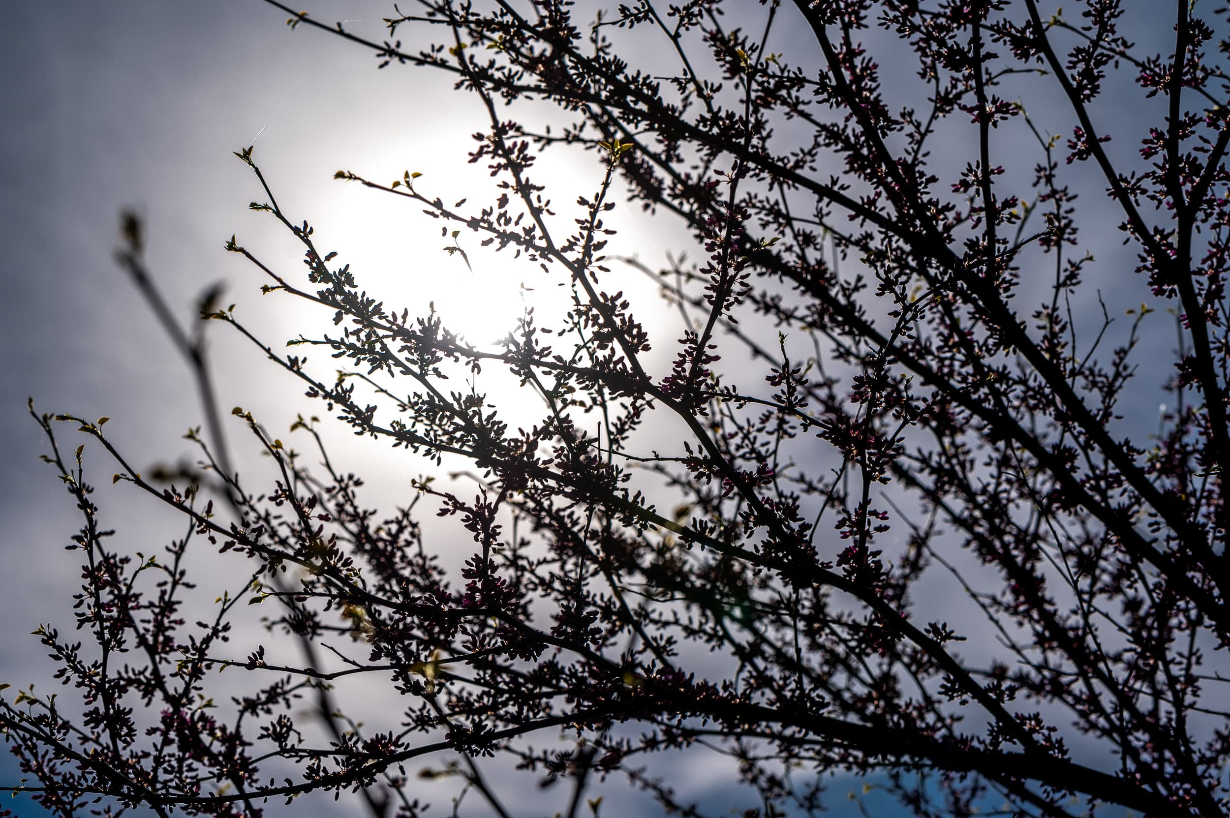 Фото: Твоє місто