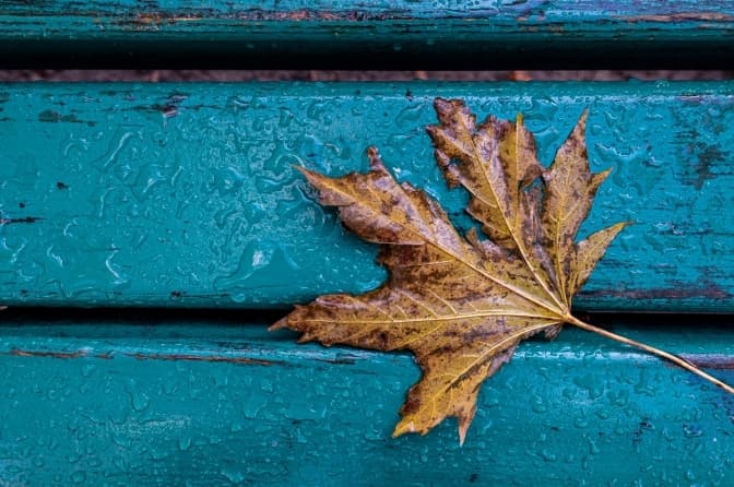 Виставки, концерти та плетіння сіток. Куди піти у Львові цього тижня