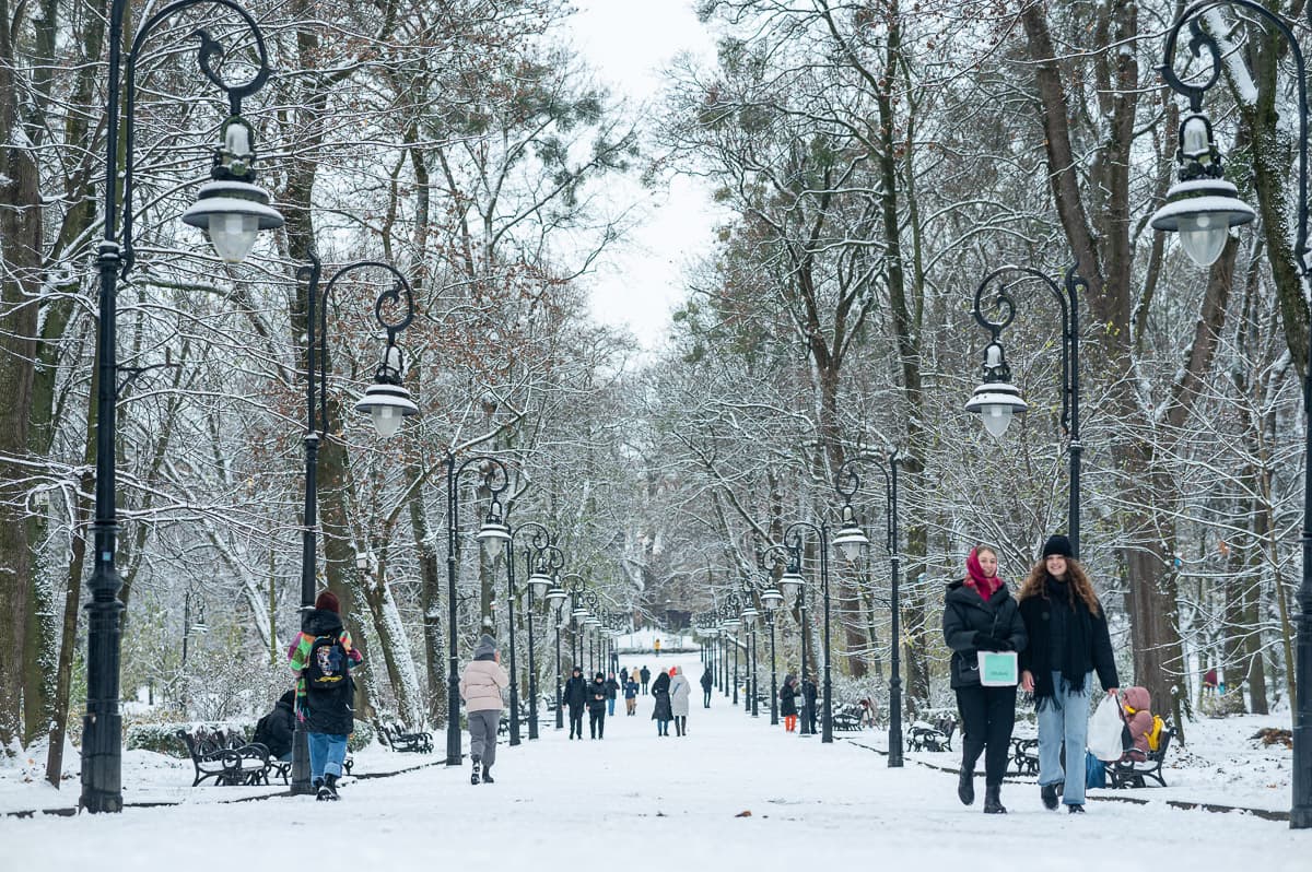 Ожеледиця на дорогах. Майже сотня травмованих львів'ян звернулися до травмпунктів