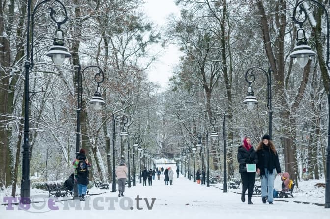 На якому етапі створення наглядових рад при львівських парках