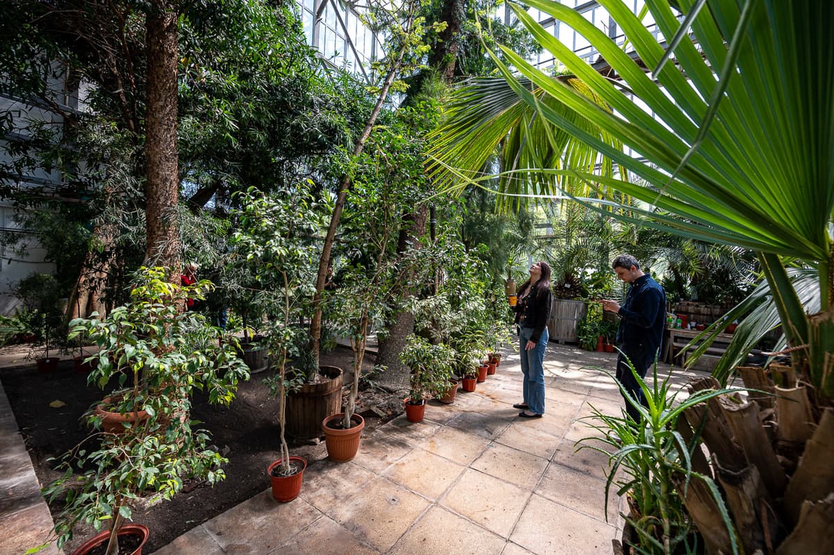 Що можна побачити восени в Ботанічному саду у Львові та доки він працюватиме