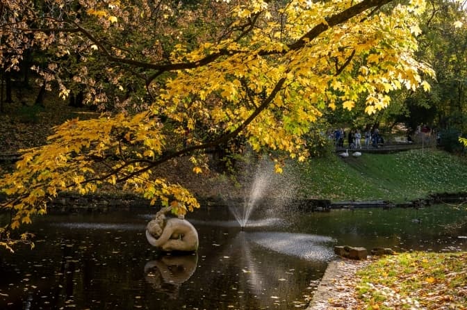 Що зміниться для львів'ян з 1 листопада