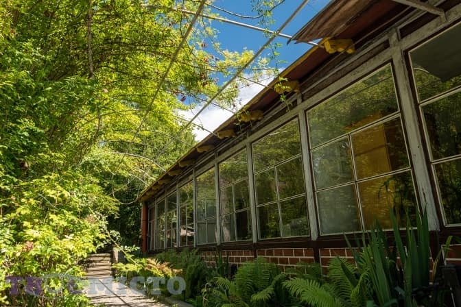 Фото: Твоє місто/Іван Станіславський