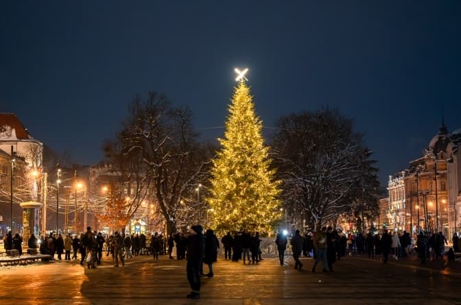 Якою буде головна різдвяна ялинка у Львові