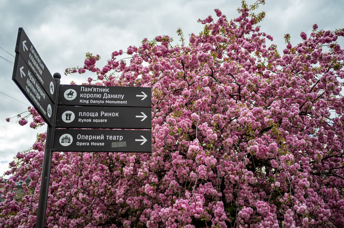 Фото: Іван Станіславський/ Твоє місто