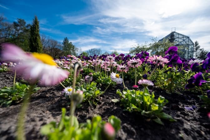 Ботанічний сад у Львові. Фоторепортаж