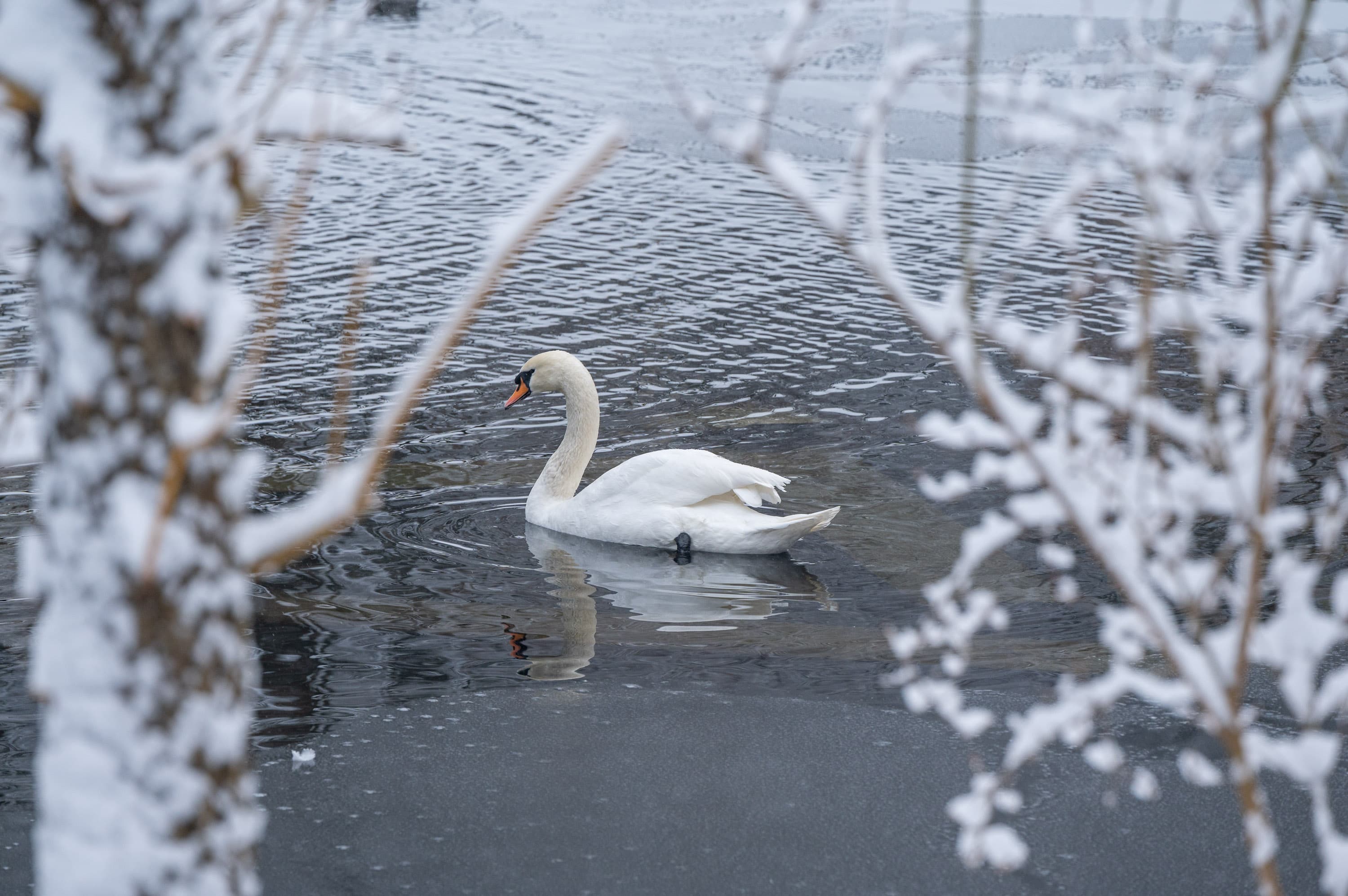 Фото: Твоє місто