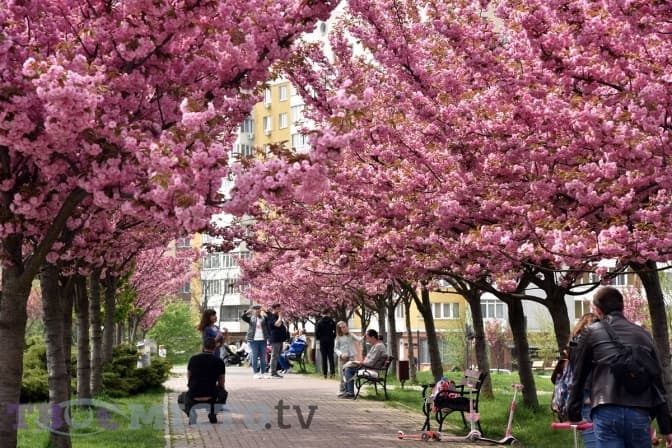 Фото/ Іван Станіславський