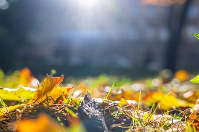 Цієї ночі температура у Львові повторила мінімальний рекорд півстолітньої давності