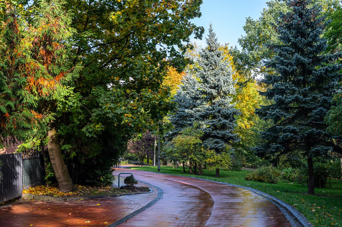 Синоптики попередили про туман у Львові 9 жовтня і спрогнозували, чи дощитиме