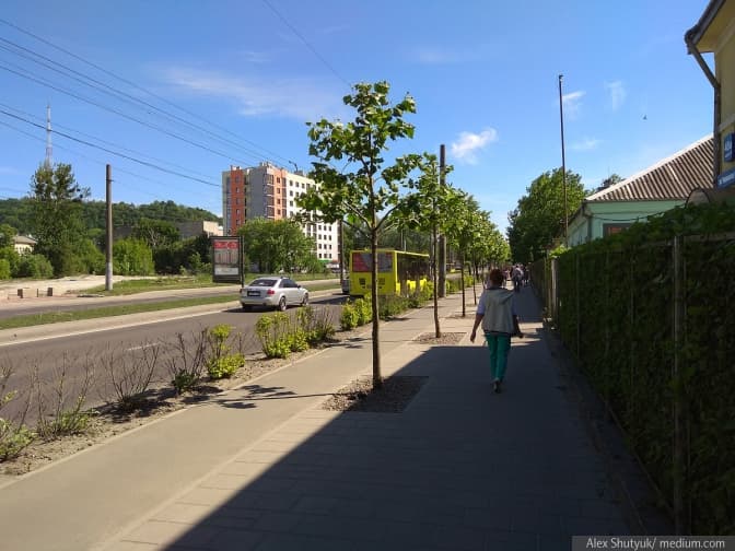 Як платани змінили проспект Чорновола. Фото до і після