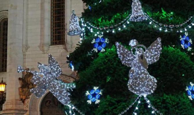 УГКЦ просить вірян відмовитись від живих ялинок на свята