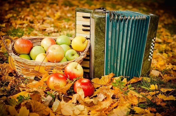 фото: 500ml.com.ua