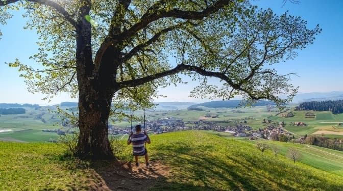 Чому Львову потрібні урбан-заказники та що вони дають містянам