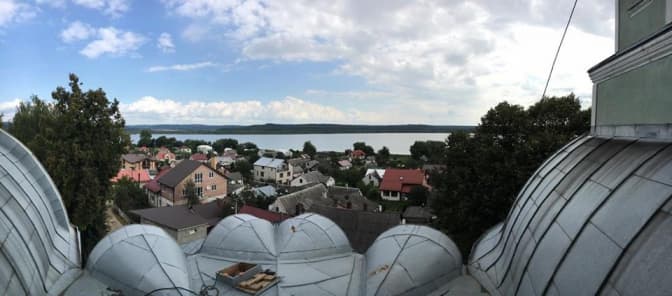 Лісові пожежі поблизу Львова відслідковуватимуть відеокамери