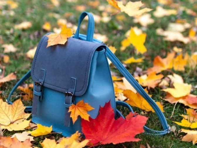 Коли у школярів Львівщини будуть осінні канікули