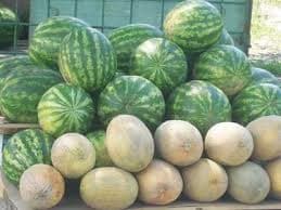 У Львові скасували рішення щодо торгівлі баштанними