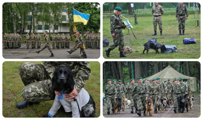 фото: прес-служба Кінологічного навчального центру