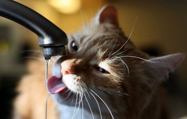 Із 1 січня у Львові зростуть тарифи на воду