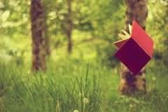 У Львові посеред скверу читатимуть поезію