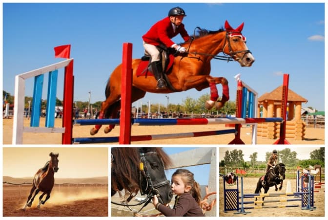 Фото: regionews.sumy.ua, poradumo.pp.ua, www.reference.com