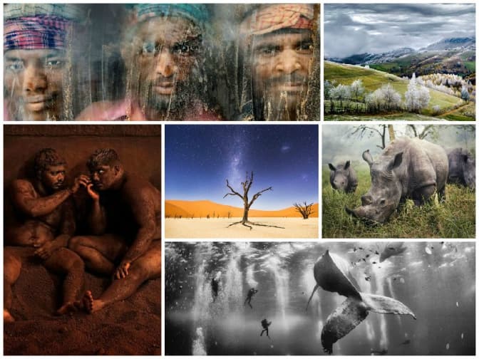 ТОП-10 фото-переможців конкурсу від National Geographic