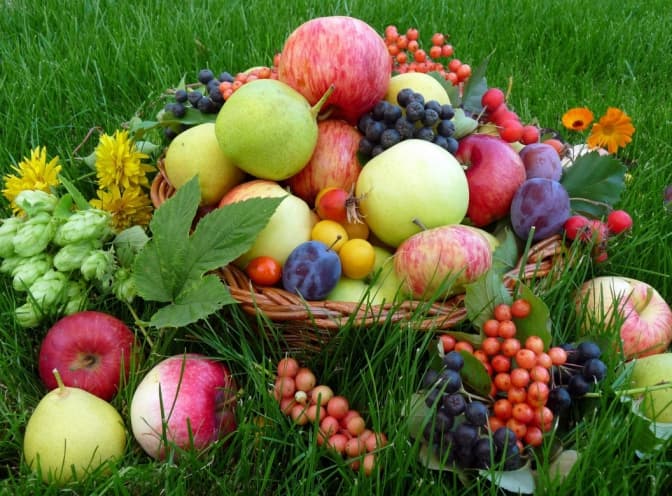 У Львові збирають «Фруктовий кошик» для захисників. Як долучитися