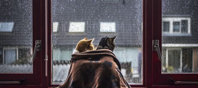 Що робити у Львові в негоду: три варіанти для туристів