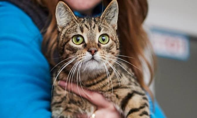 Фото: Ірини Шелест