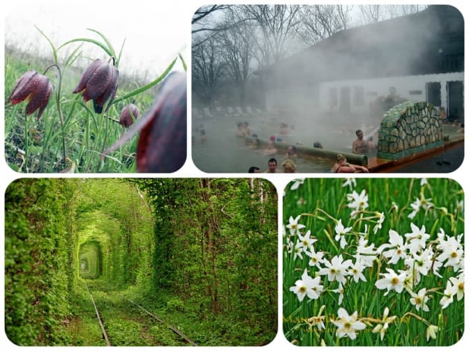 ТОП-5 унікальних місць Західної України