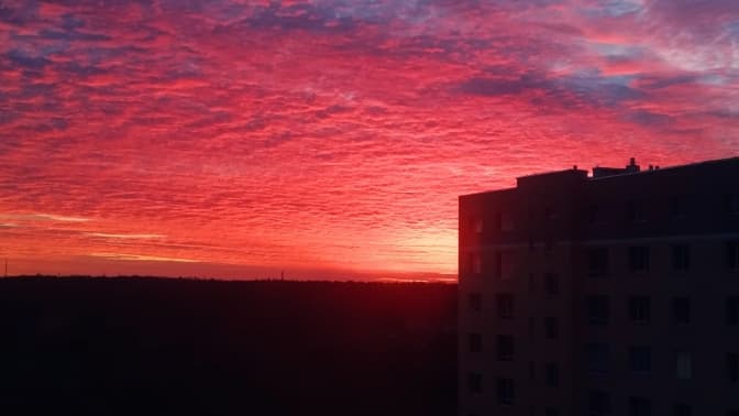 Нові Covid-правила у транспорті та нове будівництво у Львові. Головне за добу