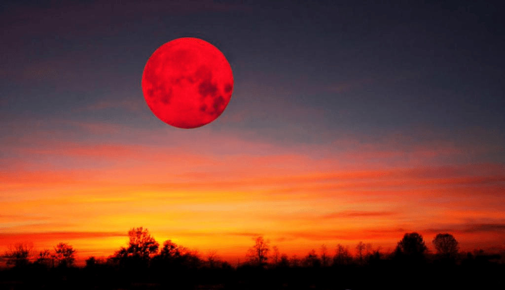 Ілюстративне фото