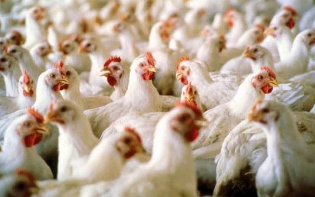 фото: econigeria.com