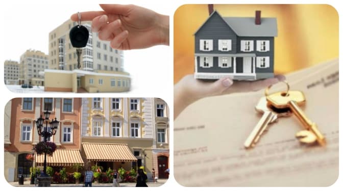 фото: photofact.in.ua, www.pravda.lutsk.ua