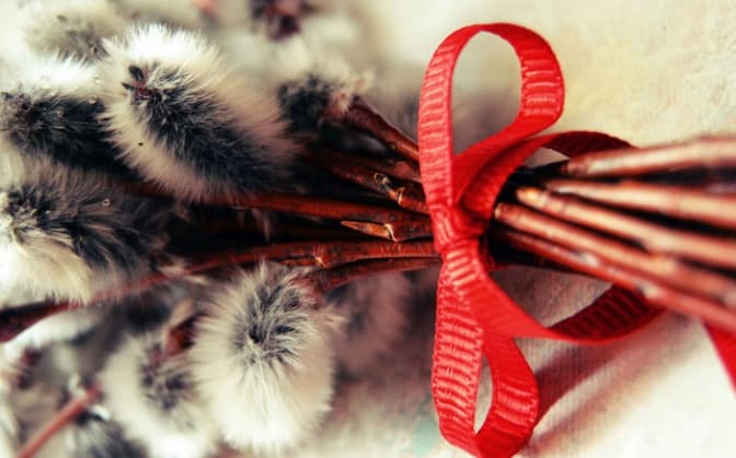 фото: pustunchik.ua