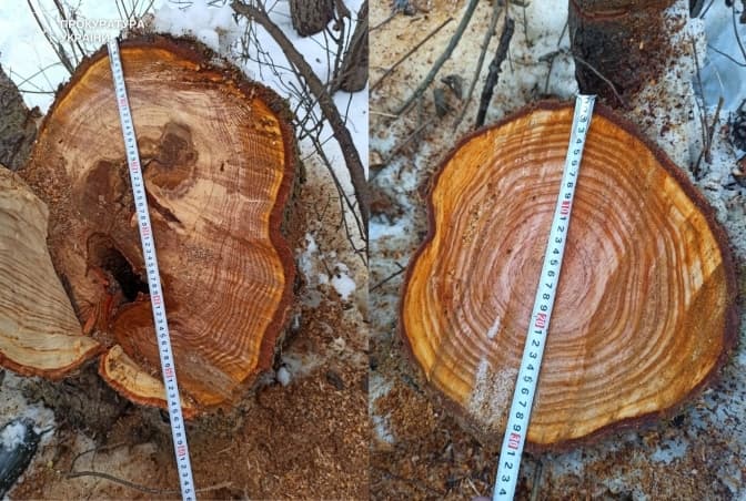 фото: прокуратура