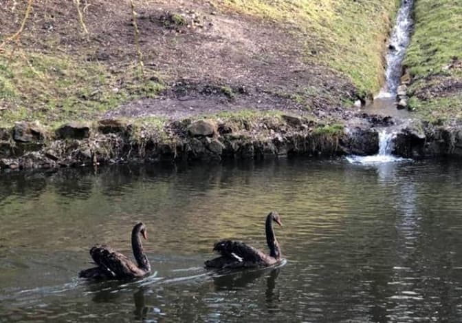Фото: Стрийський парк / Facebook